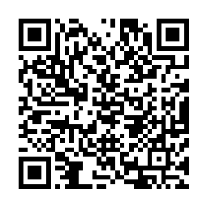所以在一些工作中你也可以大胆的提出一些新的想法和建议二维码生成
