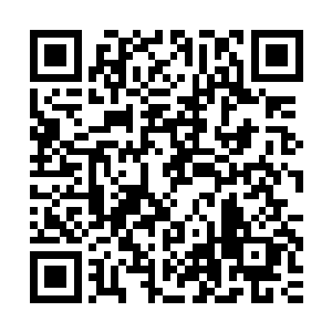 所以在一边的其他几名圣骑看着这一幕脸色也是有些难看了起来二维码生成