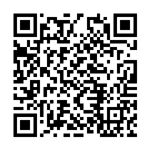 所以在其它地方剩下的仙君期修士根本就没有几个二维码生成