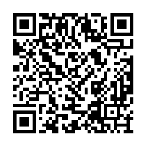 所以在十一月初的时候就让她悄悄地离开了南城二维码生成