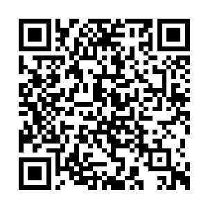 所以在外人看来她等于是抓紧一切时间闭目养神二维码生成