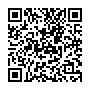 所以在太虚宗除了燕山魂和乘万里这两个圣级大修士二维码生成