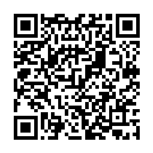 所以在封神之战的诸多强者之中都有着极高的威望二维码生成