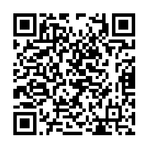 所以在尊者的心中鬼王几乎就如同一个大红人一般二维码生成