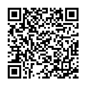 所以在帮小鱼儿治好身上的暗伤之后顺手就帮他把疤痕消掉了二维码生成