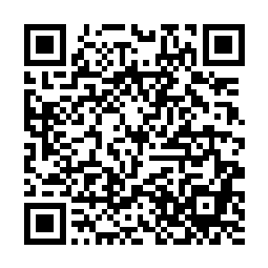 所以在得知自己要嫁给厉王的时候她兴奋的不能自己二维码生成