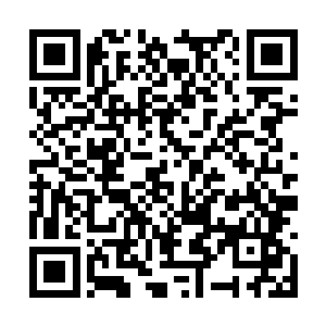 所以在班子成员配备上要最大限度的征求他的意见二维码生成