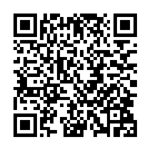 所以在看到穿着比基尼朝我游过来的晶姐直接就有了反应二维码生成