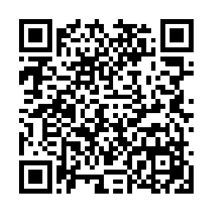 所以在签完名字之后刘在石对着身边的佳佳询问道二维码生成