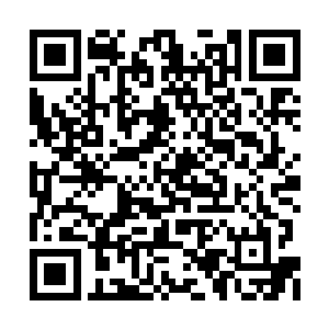 所以在苏凡露出一脸失望的表情的时候很是着急二维码生成