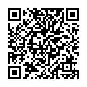所以在通过神庙之中那个布满了强大的傀儡战偶大厅的时候二维码生成