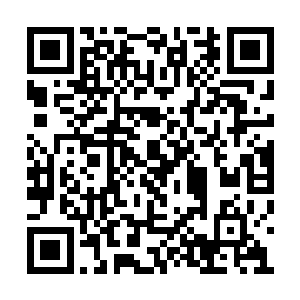 所以埋下的炸弹片只有初级炸弹片和中级炸弹片二维码生成