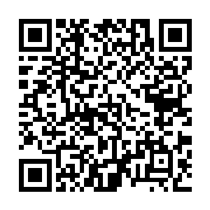 所以基本上这些房子都是厂房或者是工人临时居住的公寓楼二维码生成