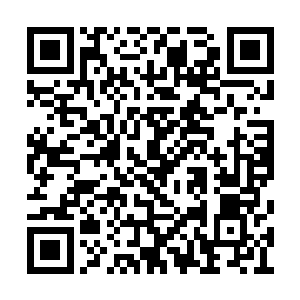 所以夏云杰的到来除了冯文博亲自带着办理手续二维码生成