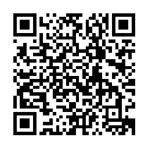 所以夏云杰这个关门弟子时不时地整点好吃好喝的伺候他老人家二维码生成