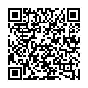 所以夏侯渊晋派出来的同时要杀夭华的那些人没有得逞二维码生成