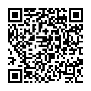 所以夏天只打算以一个旁观者的身份看看现在的夏家二维码生成