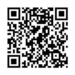 所以夏天现在要做的技术找出一只强壮的蛀虫二维码生成