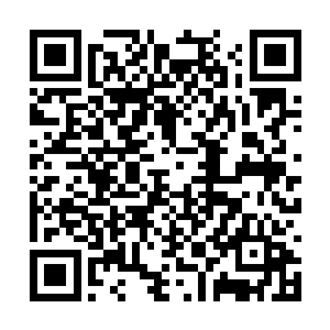 所以夏对于自己背上的那两团物事感受得无比真切二维码生成