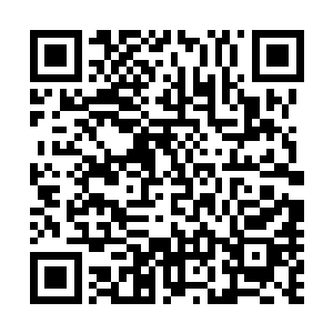 所以外公现在你们就应该尽一切最大的努力提升家族的实力二维码生成