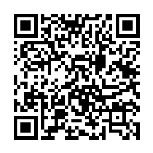 所以外界也的确一直都把迪克视为是罗伯特的接班人二维码生成