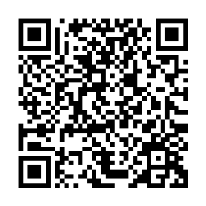 所以大半年以来紫幽派生有关华夏九的这些事情白香竹一概不知二维码生成