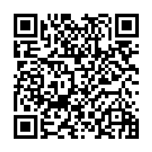 所以大家也都信心十足地可以破解生命之树的奥秘二维码生成