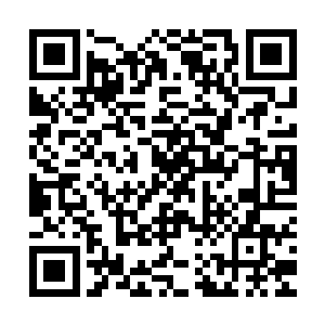 所以大家只是一直用自己能够补充能量的东西补充着自己的能量二维码生成