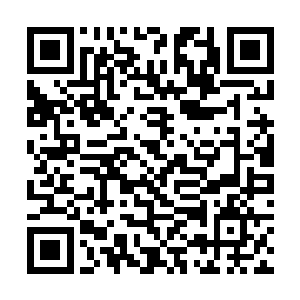所以大家都看到了从人形洞口里砸出来的是什么东西二维码生成