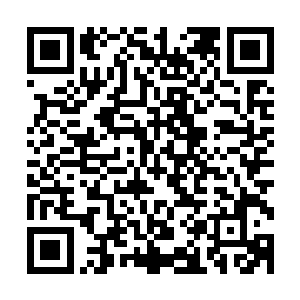 所以天狱魔尊的嘶虽然说对炼狱魔宗的实力造成了巨大的影响二维码生成