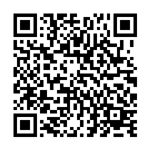 所以她一早就研究出一种药可以将自己的内力完全摒弃掉二维码生成