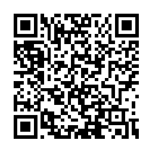 所以她也不是很清楚李文朝在话筒里说了些什么二维码生成