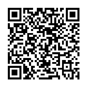 所以她们以为柳逸尘的中指血融化的只有透明容器二维码生成