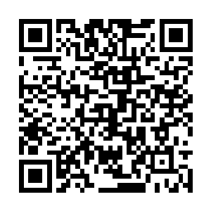 所以她想要趁着对方的没有凝练出足够多的怒剑气二维码生成