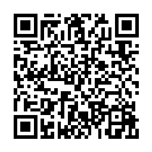 所以她手中的精灵树种也迟迟不能生长繁衍起来二维码生成