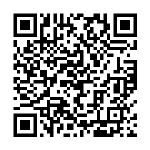 所以她才会在今日把有可能成为自己朋友的人领去茶楼二维码生成