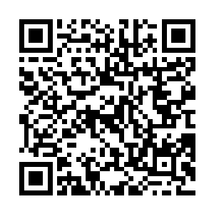 所以她才疑惑秦宇在这个时候怎么会来到江山社稷图内二维码生成