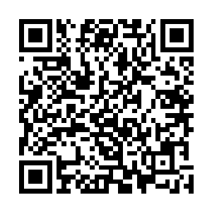 所以她根本不相信卢向东会把她跑到朝阳的事情告诉杨眉二维码生成