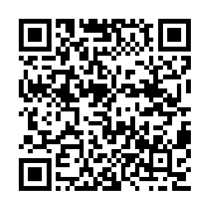 所以她每次看到灰团子飞在龙天头上的几厘米处二维码生成