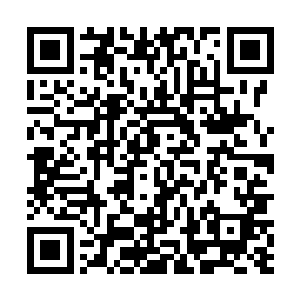 所以她特意的准备去参加自己那远房亲戚家表妹的婚礼二维码生成