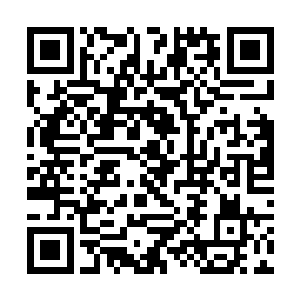 所以她的异能攻击不仅可以起到冰系异能的冰封效果二维码生成