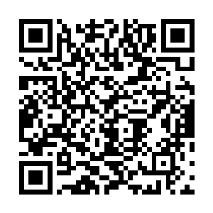所以她背后这个群体也愿意给她更大的权力和更多的支持二维码生成