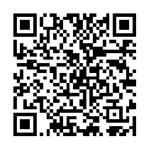 所以她脖子里那条白金串着珍珠的项链尤其引人注目二维码生成