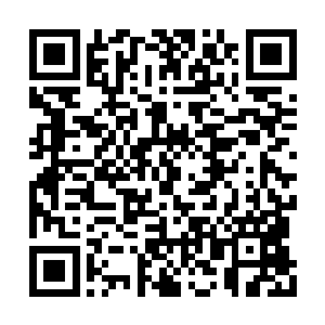 所以她自然也不会只相信钱老大他们的一面之词二维码生成