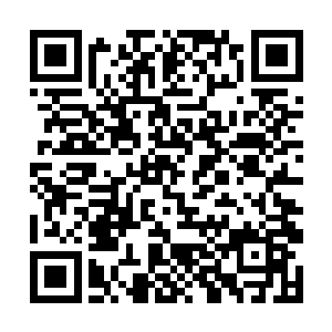 所以孙子轩根本就看不出力景仲究竟错在什么地方了二维码生成