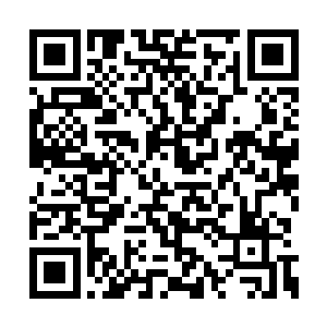 所以孟奇和江芷微等人都是毫不吝啬秘宝和手段二维码生成