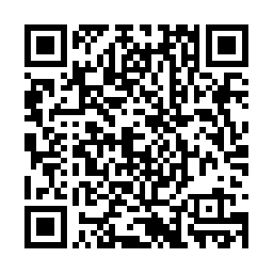 所以它抛过来的陀螺在小叹看来和雨伞差不多尺寸二维码生成