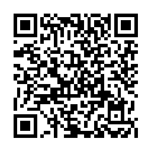 所以守卫把事情禀告给相当于府署总管的魏崇后二维码生成