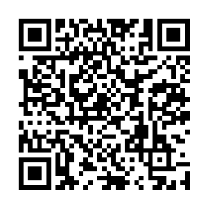 所以家里所有水电气甚至材米油盐等一应开销都是欧颖支撑二维码生成