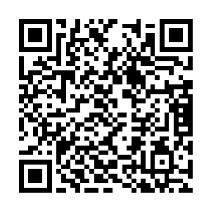 所以对于下一步扩大生产都会产生一些消极的影响二维码生成